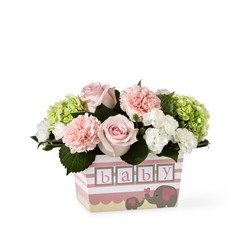 The FTD Darling Baby Girl Bouquet from Victor Mathis Florist in Louisville, KY